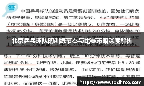 北京乒乓球队的训练节奏与比赛策略深度解析