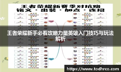 王者荣耀新手必看攻略力量英雄入门技巧与玩法解析
