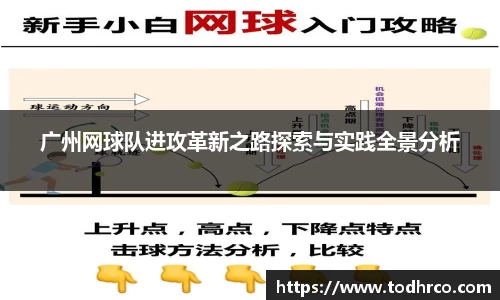 广州网球队进攻革新之路探索与实践全景分析