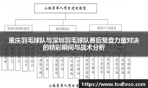 重庆羽毛球队与深圳羽毛球队赛后复盘力量对决的精彩瞬间与战术分析