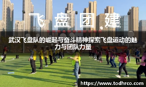 武汉飞盘队的崛起与奋斗精神探索飞盘运动的魅力与团队力量
