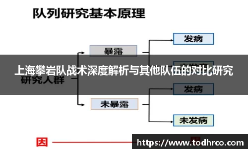 上海攀岩队战术深度解析与其他队伍的对比研究