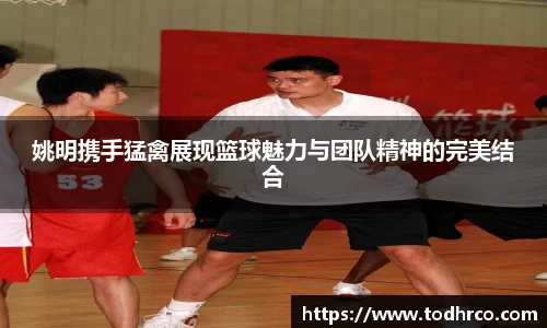 姚明携手猛禽展现篮球魅力与团队精神的完美结合