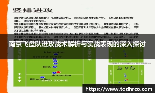 南京飞盘队进攻战术解析与实战表现的深入探讨