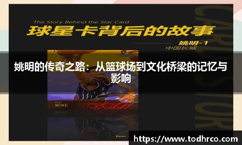 姚明的传奇之路：从篮球场到文化桥梁的记忆与影响