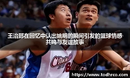 德赢vwin体育官网